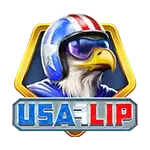 USA Flip